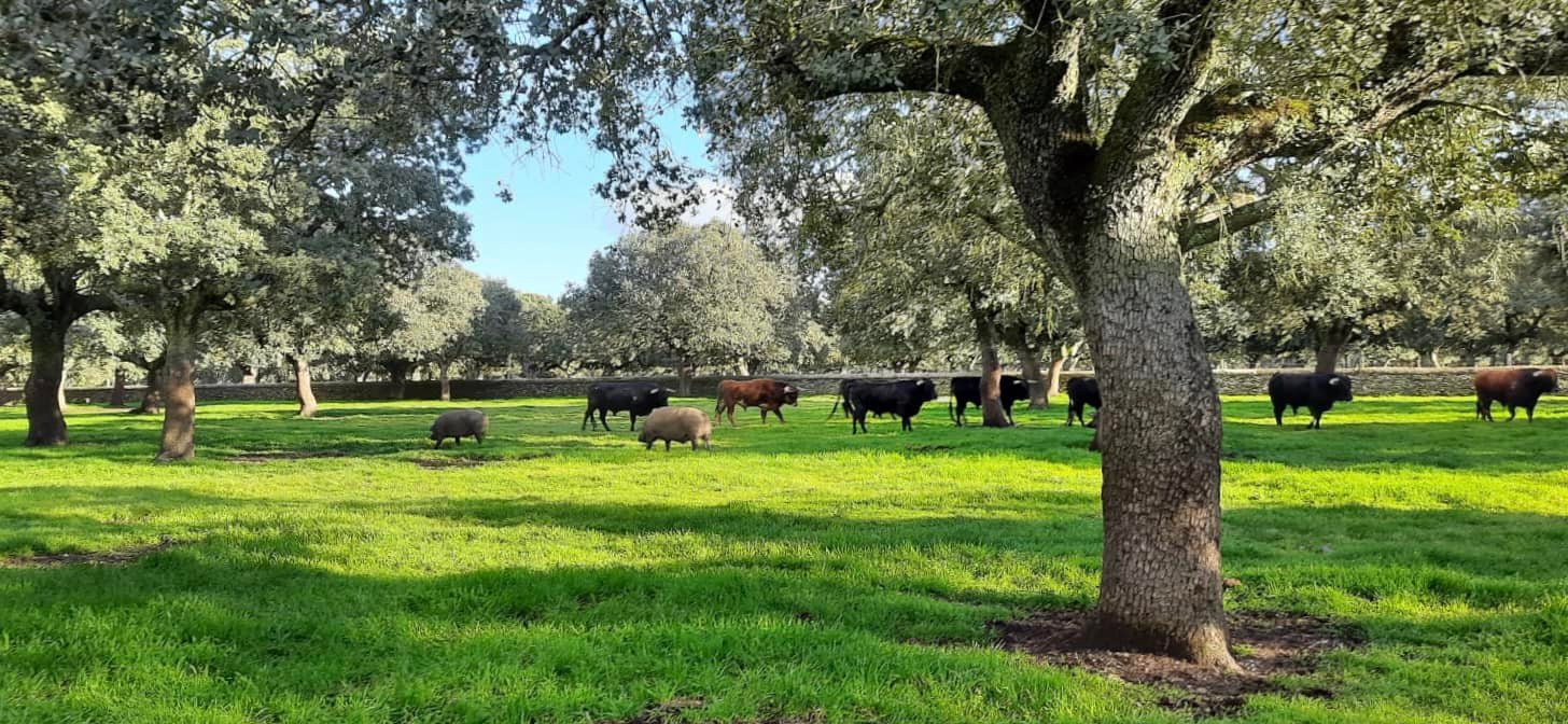 261475530_3137020696517744_2461465443671779390_n