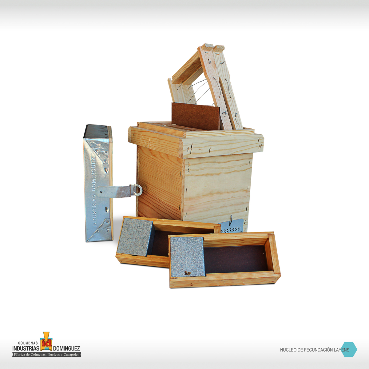 NucleoFecondacionLayens2B